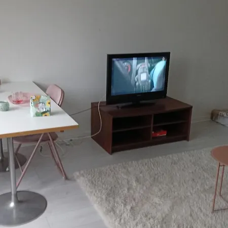 Apartment One Bedroom With Kitchen Close To Centrum
